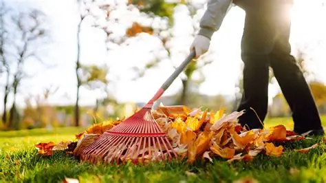 Seasonal yard clean-up services in the Treasure Valley